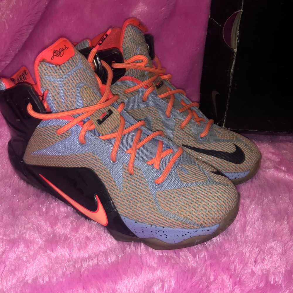 Lebrons - Picture 2 of 4